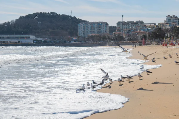 경포해변